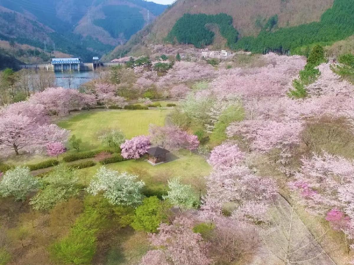 Ryokan Kigusuriya Nantan Ngoại thất bức ảnh